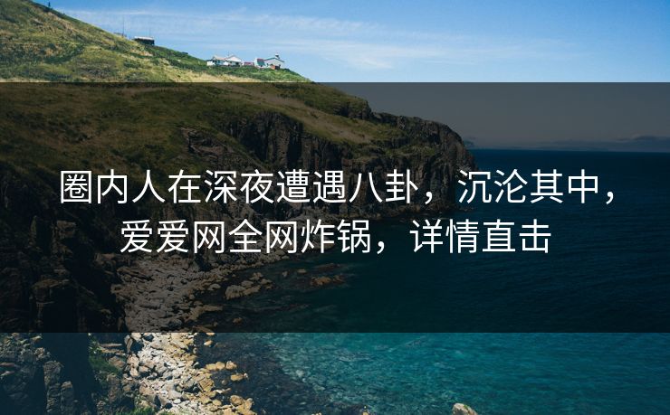 圈内人在深夜遭遇八卦，沉沦其中，爱爱网全网炸锅，详情直击